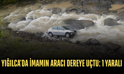 ARAÇ DEREYE SAVRULDU, SÜRÜCÜ HASTANEYE KALDIRILDI