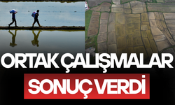 COĞRAFİ İŞARETLİ KONURALP PİRİNCİNİN EKİM ALANI 5 YILDA YÜZDE 86 ARTTI