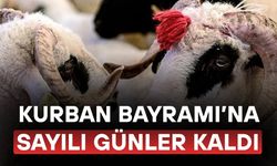 KURBAN İBADETİ İLE İLGİLİ DOĞRU BİLİNEN YANLIŞLAR NELER?