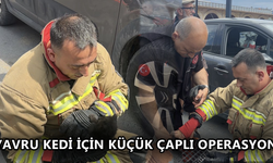 SÜRÜCÜNÜN DİKKATİ BİR CAN KURTARDI