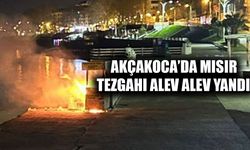MISIR TEZGAHI KÜLE DÖNDÜ