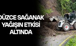 GÖLYAKA İLÇESİNDE 2 KÖY YOLUNDA TOPRAK KAYMASI