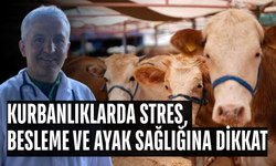 VETERİNER HEKİM MUAYENESİNDEN GEÇMİŞ RAPORLU OLAN HAYVANLAR ALINMALI