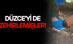 KONTEYNER ŞASESİNDEKİ AKIL ALMAZ UYUŞTURUCU DÜZENEĞİ DİKKAT ÇEKTİ