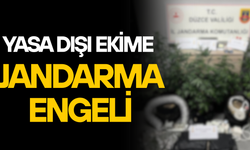 DÜZCE’DE UYUŞTURUCU OPERASYONU:1 ŞÜPHELİ GÖZALTINDA