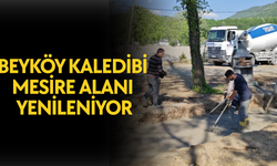 DOĞAL GÜZELLİĞİYLE DİKKAT ÇEKECEK