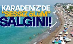 DÜZCELİLER DİKKAT! EN ÇOK 1-24 YAŞ ARASINDA GÖRÜLÜYOR
