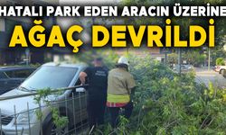 ARACI HEM HASAR ALDI HEM DE CEZAYI YEDİ…
