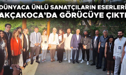 SANATSEVERLER ULUSLARARASI ORGANİZASYON İÇİN AKÇAKOCA’DA BULUŞTU