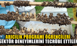 SEKTÖRDEKİ GÜNCEL UYGULAMALAR HAKKINDA BİLGİ EDİNDİLER