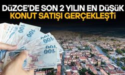DÜZCE'DE KONUT SATIŞLARI DİBE VURDU