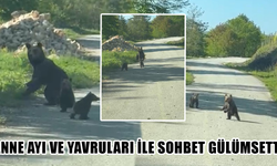 2 KARDEŞ AYILARA SESLENDİ