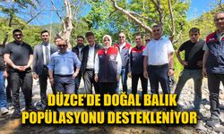 KARADERE DERESİ’NE KIRMIZI BENEKLİ ALABALIK YAVRUSU BIRAKILDI