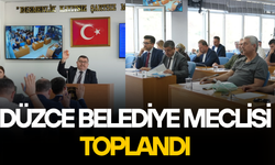 25 GÜNDEM MADDESİ GÖRÜŞÜLDÜ, KOMİSYONLARA HAVALE EDİLDİ
