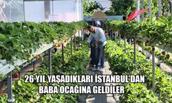 TOPRAKSIZ TARIMLA YETİŞTİRDİKLERİ ÇİLEKLER, YAŞAM ENERJİLERİ OLDU