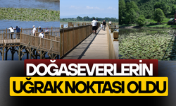 EFTENİ GÖLÜ DOĞA TUTKUNLARINI AĞIRLAMAYA DEVAM EDİYOR