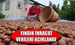 DÜZCE’DEN AB ÜLKELERİNE 5 BİN 291 TON FINDIK İHRAÇ EDİLDİ