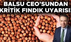 "ŞİLİ VE ABD TÜRKİYE'NİN İHRACATINI ETKİLEYEBİLECEK DÜZEYDE FINDIK ÜRETİYOR"