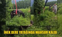 VİNÇ YARDIMIYLA KURTARILDI