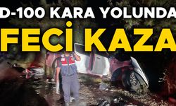 KAMYONET TIRA ÇARPTI: 3 YARALI