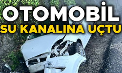 KORKUTAN KAZADA 3 KİŞİ YARALANDI