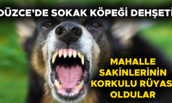 KÖPEĞİN ISIRDIĞI MARKET ÇALIŞANI HASTANELİK OLDU