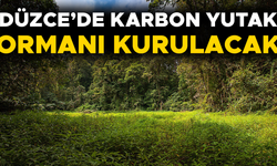 KARAR RESMİ GAZETE’DE YAYIMLANARAK YÜRÜRLÜĞE GİRDİ