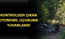 YAYLA YOLUNDAKİ KAZADA ARAÇTA BULUNAN 3 KİŞİDEN 1’İ YARALANDI