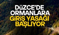DÜZCE’DE PİKNİK YAPILMASINA İZİN VERİLEN BÖLGELER DUYURULDU