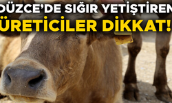 KULAK KÜPELERİNDE YENİ DÖNEM BAŞLADI