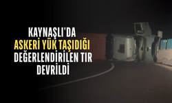 DEVRİLEN TIR NEDENİYLE UZUN ARAÇ KUYRUKLARI OLUŞTU