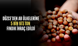 YENİ SEZON HAZIRLIKLARI BAHÇELERDE SÜRÜYOR