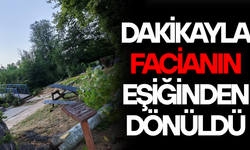 AKÇAKOCA’DA ASIRLIK ÇINARIN DALI PİKNİK MASASININ ÜZERİNE DÜŞTÜ