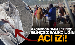 AMATÖR BALIKÇILIK ARTIYOR, KIYILARDAKİ TEHLİKE BÜYÜYOR