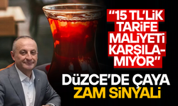DÜZCE'DE KAHVEHANE VE ÇAY OCAKLARINDAN ZAM TALEBİ
