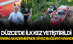 BAŞKAN ÖZLÜ: “BEN GÖREVDE OLDUĞUM SÜRECE TARIM ALANLARI İMARA AÇILMAYACAK”
