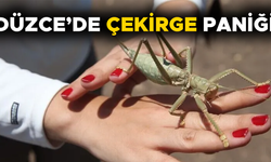 UZMANI AÇIKLAMA YAPTI…