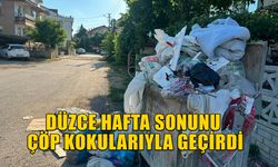 ÇÖPLER ALINMAYINCA DAĞLAR OLUŞTU