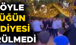 KURBANLIK DANALARI HAZIR