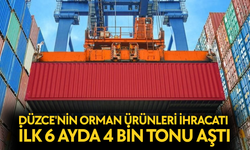 YILIN İLK YARISINDA İHRACAT SÜRERKEN, ORMAN ÜRÜNLERİNDE ARTIŞ HEDEFLENİYOR