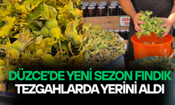 KİLOSU 200 LİRADAN ALICI BULUYOR