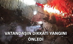 ALEVLER BÜYÜMEDEN SÖNDÜRÜLDÜ
