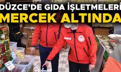 DENETİMLER HIZ KESMEDEN DEVAM EDİYOR
