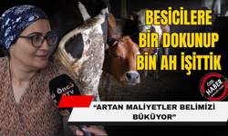 “DESTEK, HİBE ŞARTLARI YUMUŞATILMAZSA HAYVANCILIK ÖLECEK”