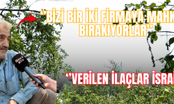 FINDIK ÜRETİCİLERİ ÖNCÜ HABER’E DERT YANDI
