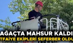 DÜZCE’DE KEDİ KURTARMA OPERASYONU