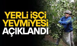 YERLİ FINDIK İŞÇİLERİNİN YEVMİYE FİYATI AÇIKLANDI