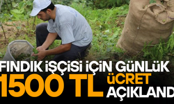 DÜZCE İL KORDİNASYON KURULU YEVMİYE FİYATLARINI BELİRLEDİ