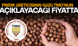 FINDIK FİYATLARINDA KRİTİK BEKLEYİŞ SÜRÜYOR