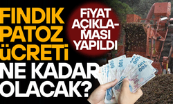 FINDIK HASADI ÖNCESİ PATOZ ÜCRETİ GÜNDEME GELDİ